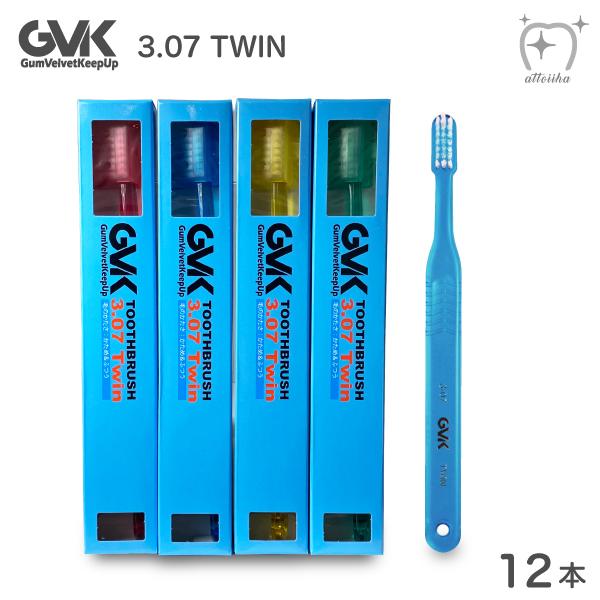 歯ブラシ G.V.K 72％以上節約 期間限定お試し価格 GVK 3.07 メール便送料無料 TWIN 12本