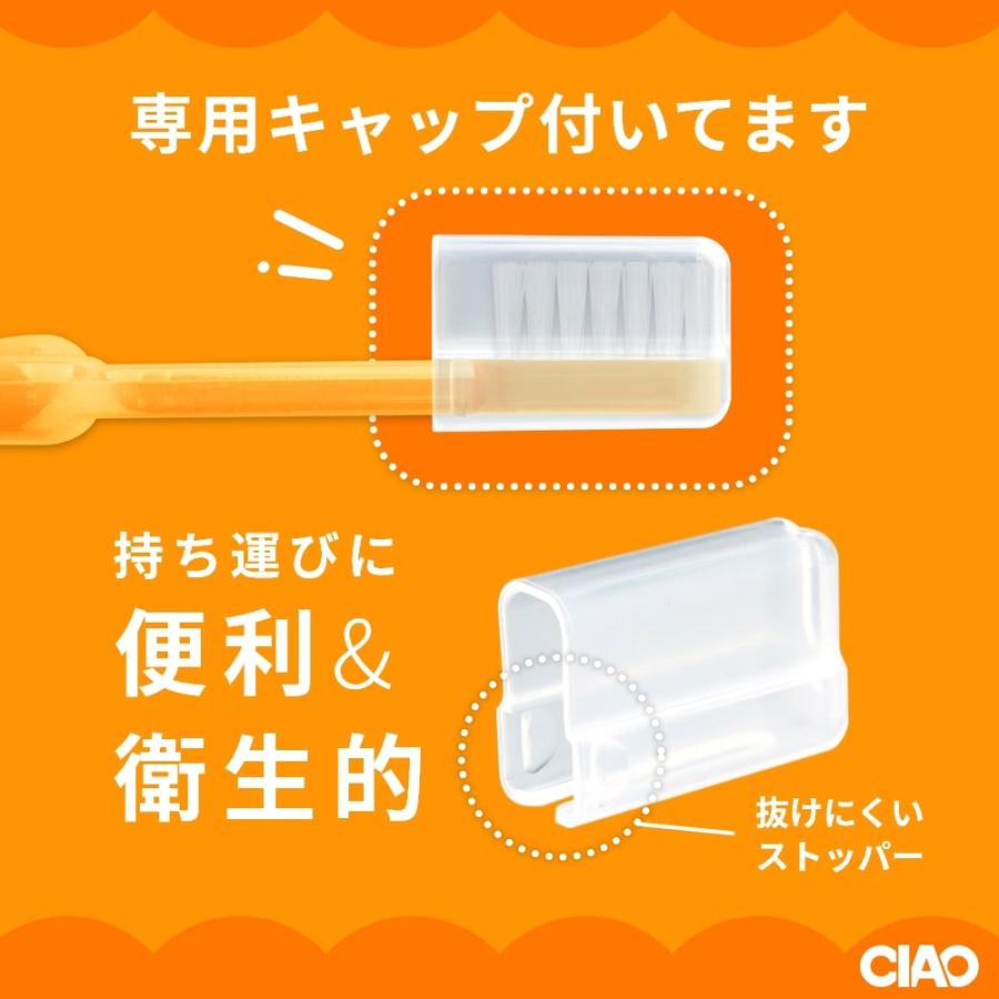 歯ブラシ G.V.K GVK CIAO C37 5〜9歳 12本 メール便送料無料 : アット