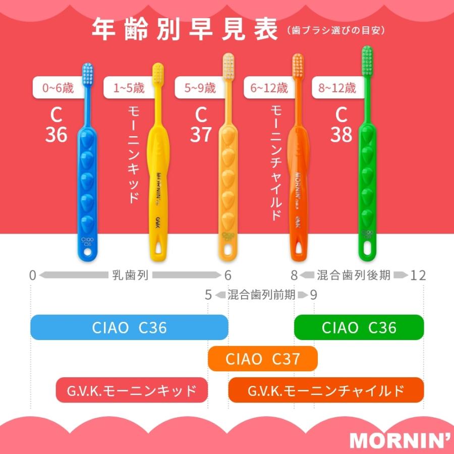 歯ブラシ G.V.K GVK モーニン KID キッド 1〜5歳 25本 メール便送料