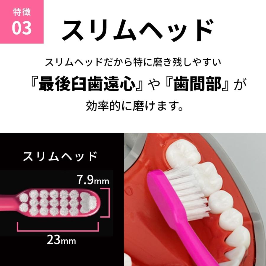 ルシェロ（ジーシー） 歯ブラシ ジーシー GC ルシェロ P-10 20本