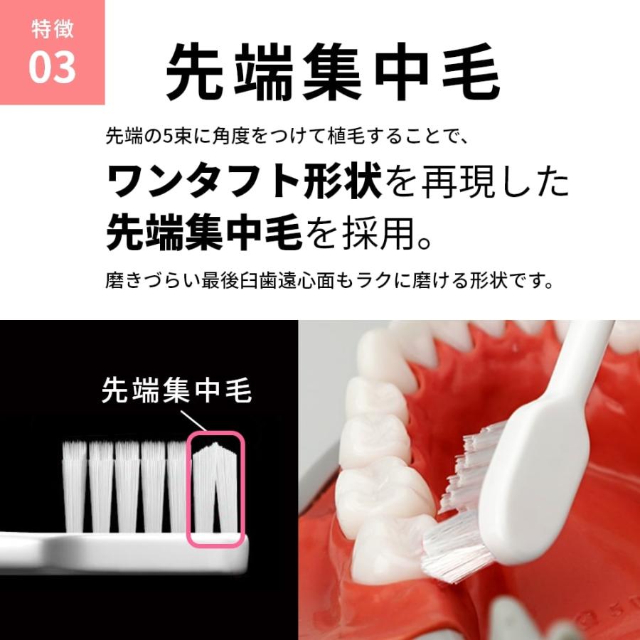 ルシェロ（ジーシー） 歯ブラシ ワンコイン500円 メール便送料無料
