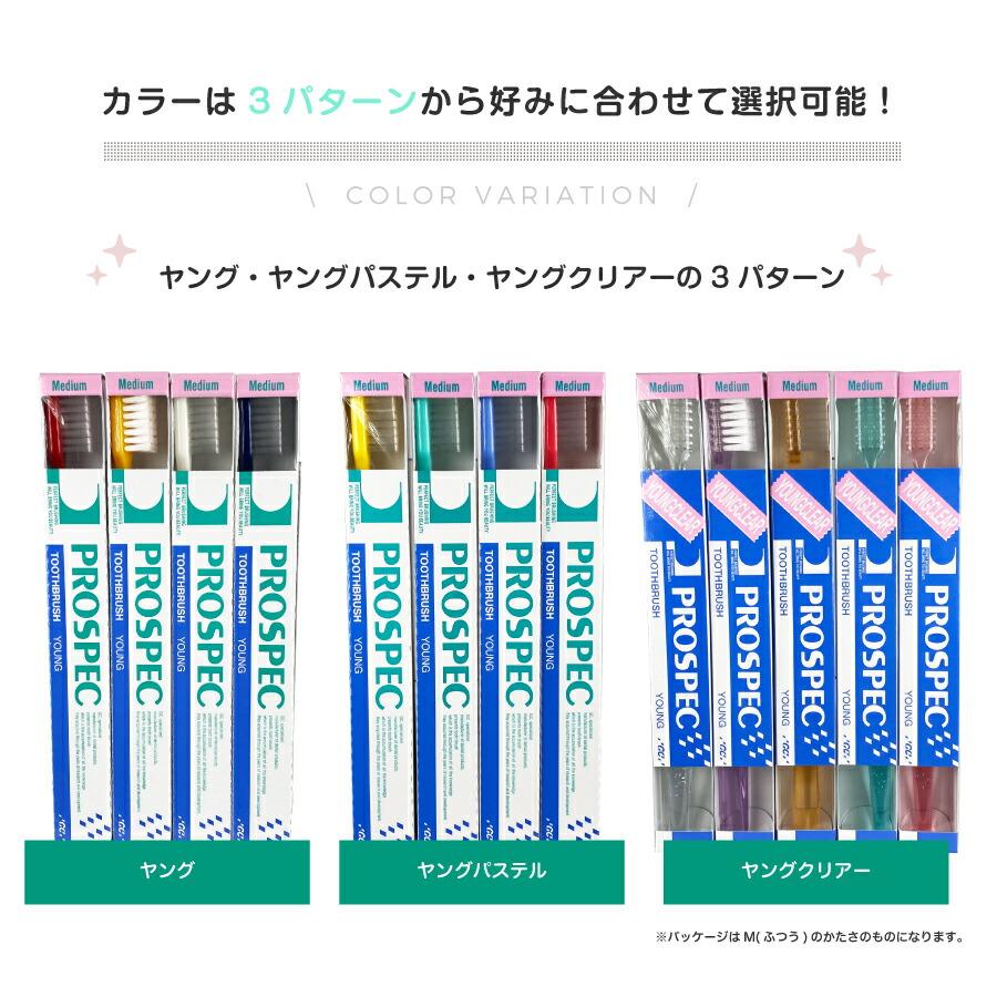 歯ブラシ GC ジーシー プロスペック PROSPEC ヤングニューパステル 10本 メール便送料無料｜i-ha｜03