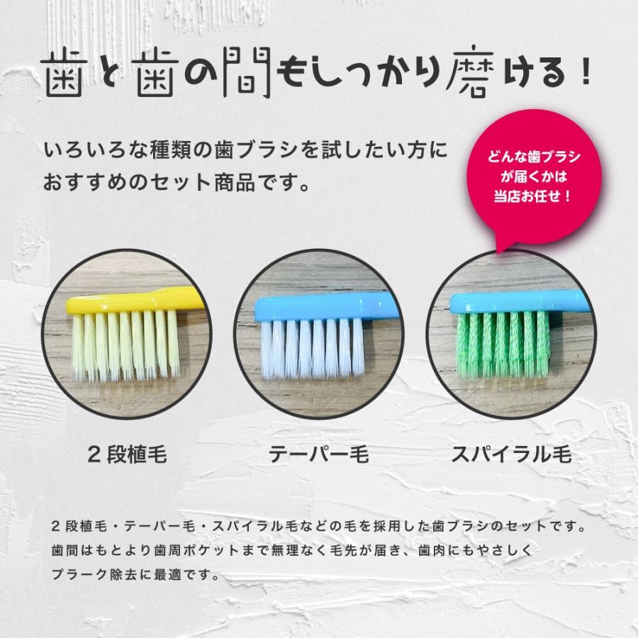 お試しセット メール便送料無料 歯周病対策に 2段植毛 テーパー毛