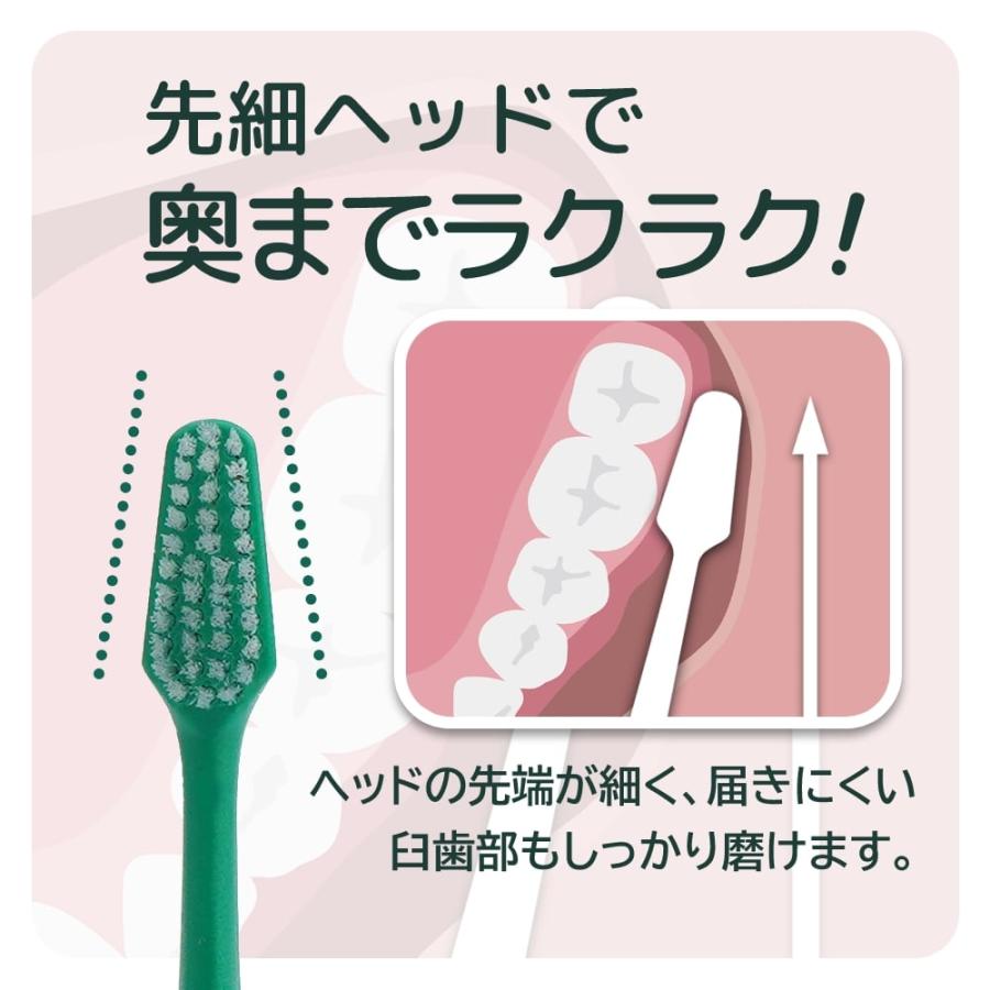 TePe 歯ブラシ テペ choice チョイス 6本 交換可能なブラシヘッド