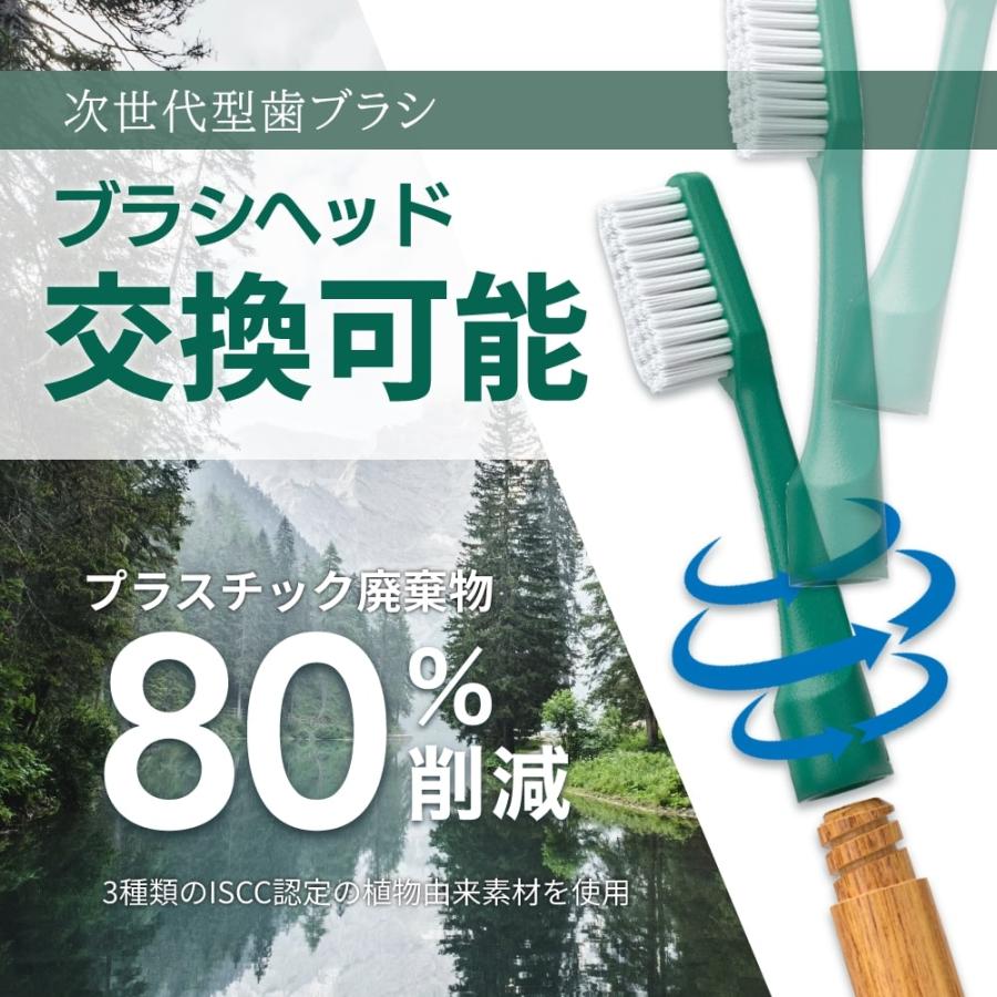 TePe 歯ブラシ テペ choice チョイス 6本 交換可能なブラシヘッド