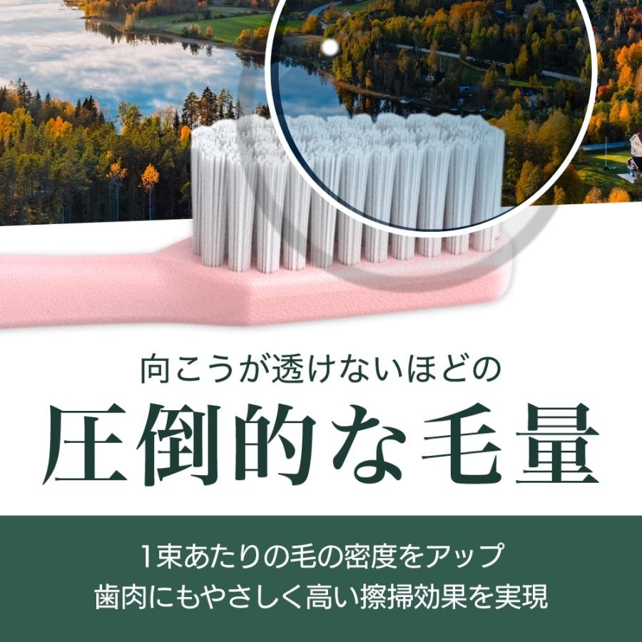 TePe 歯ブラシ テペ choice チョイス 6本 交換可能なブラシヘッド