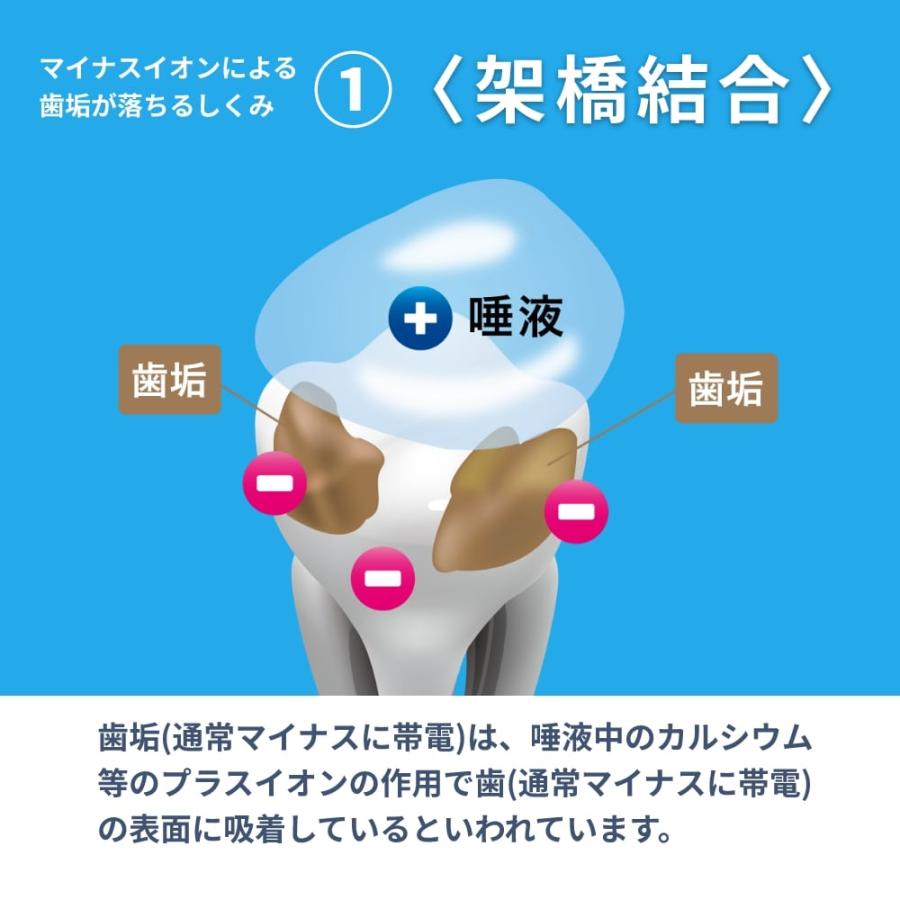 歯ブラシ KISS YOU キスユー イオン歯ブラシ 極細コンパクトH22