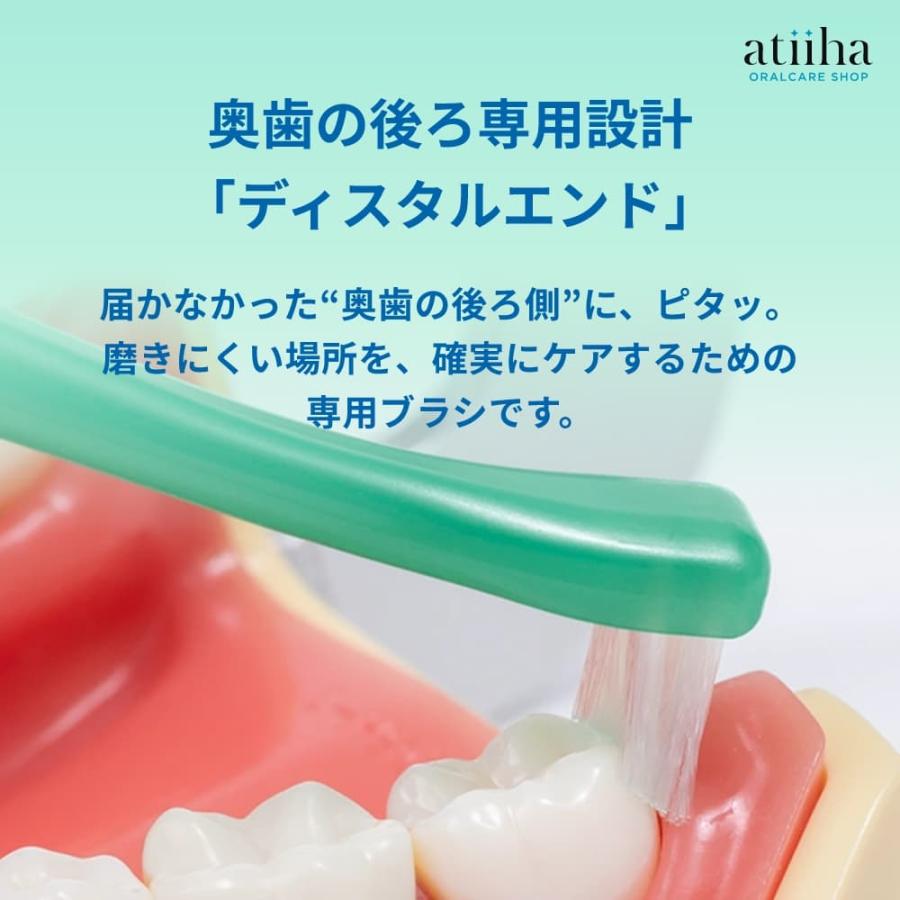 歯ブラシ Oral Care オーラルケア DistalEnd ディスタルエンド【8本