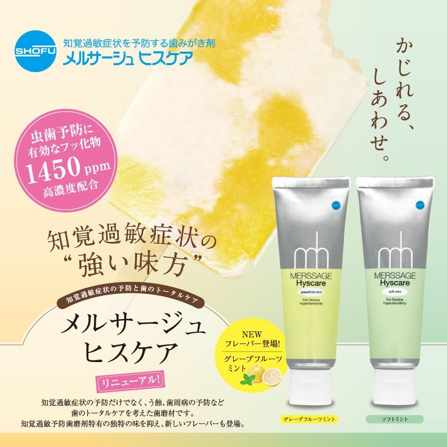 歯みがき粉 松風 メルサージュヒスケア 1450ppm ソフトミント 1本 アットイーハ 通販 Yahoo ショッピング