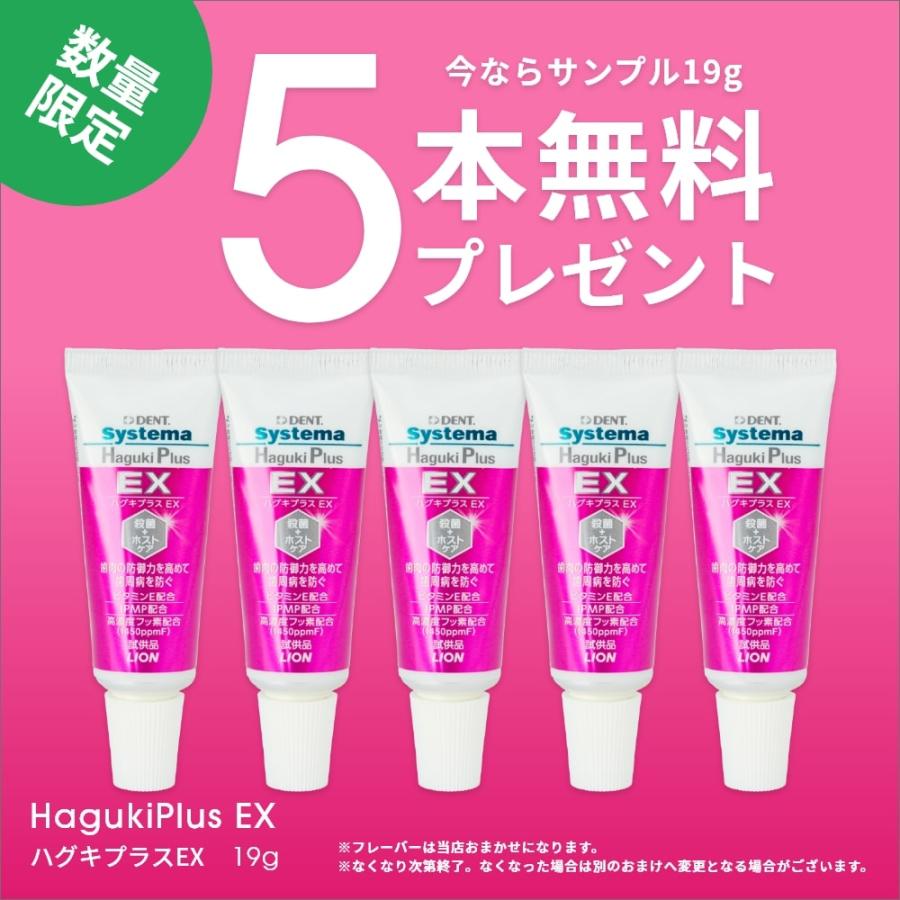 LION（ライオン） 歯みがき粉 数量限定 歯みがき粉 Systema Haguki