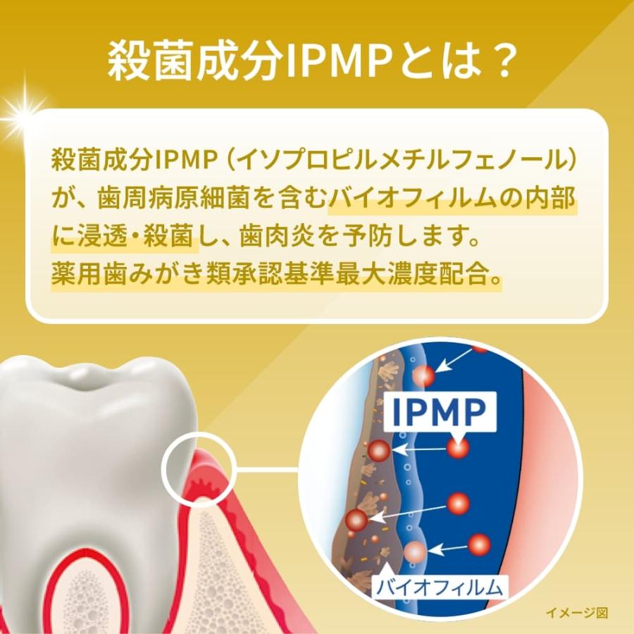 LION（ライオン） 歯磨き粉 歯みがき粉 1450ppmF 無研磨ジェルタイプ 
