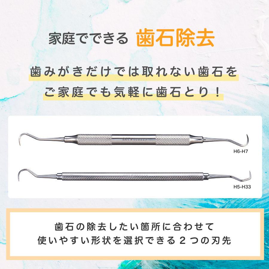 スケーラー Ci H6-H7 歯石取り ヤニ取り 1本 メール便送料無料