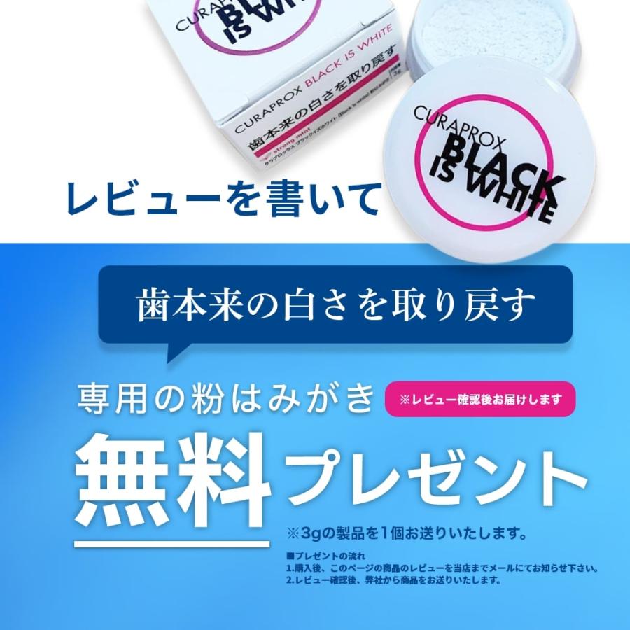 CURAPROX 音波式電動歯ブラシ クラプロックス HYDROSONIC EASY CURAPROX 音波式電動歯ブラシ クラプロックス HYDROSONIC EASY