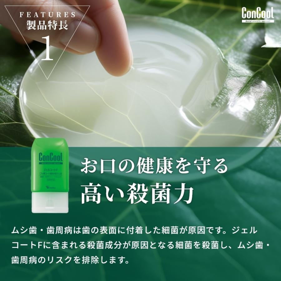 コンクール 歯磨き粉 ConCool ジェルコートF 90g 2本 : アットイーハ