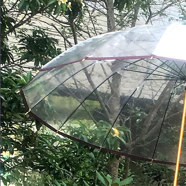 ホワイトローズ ホワイトローズ雨傘 十六夜桜WN ワイン 天然木