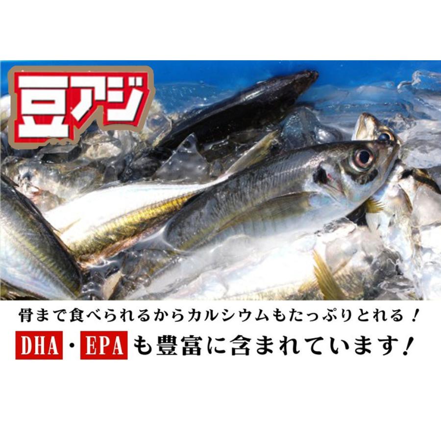 千葉産 豆アジ 4kg前後 1尾 約10 40g前後 じんた ジンタ 鯵 あじ マメアジ まめあじ Ajimame1 市場81 通販 Yahoo ショッピング