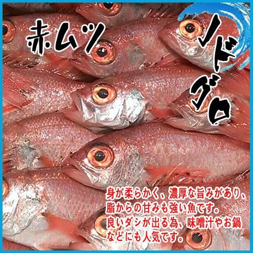 業務用 送料無料 国産 生 ノドグロ 赤ムツ 約3kg アカムツ 赤むつ のどぐろ ノドクロ 築地 Akamutu 市場81 通販 Yahoo ショッピング