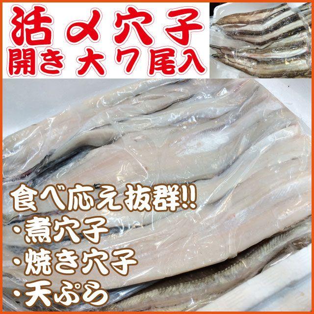 活〆穴子 開き 江戸前 大 7 ９尾前後入 41 45 １kg 鮮度抜群 築地 Anagohiraki Tukiji 市場81 通販 Yahoo ショッピング