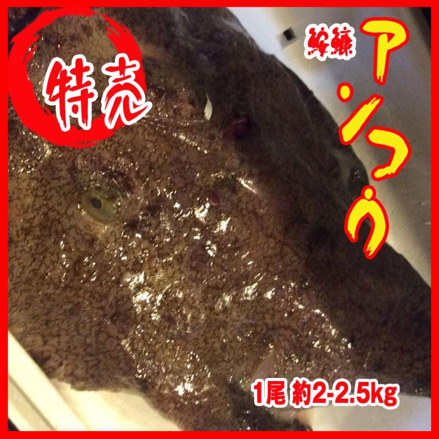 業務用 アンコウ あんこう 1尾 約2 2 5kg Ankou 市場81 通販 Yahoo ショッピング