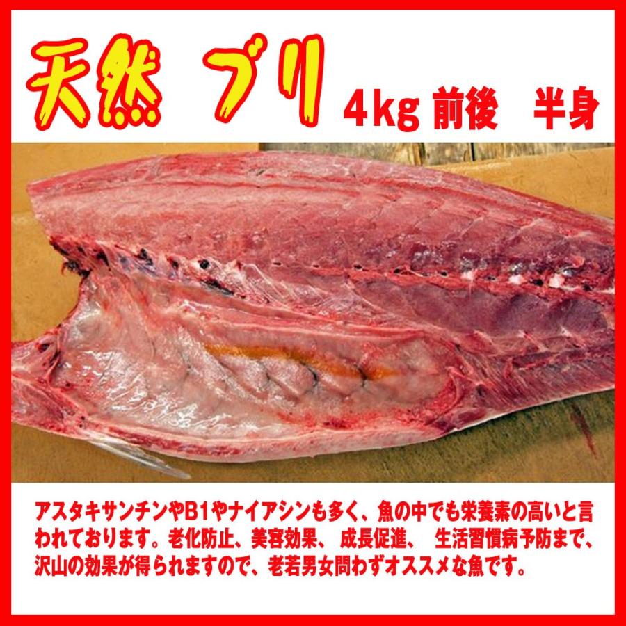 天然 ブリ ４kg 前後 半身 築地 Bl097 市場81 通販 Yahoo ショッピング