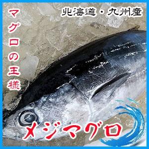 業務用 生メジマグロ 約７ ８kg前後 3枚卸 北海道 九州産 G3463 市場81 通販 Yahoo ショッピング