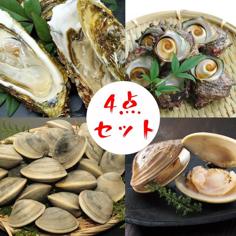 4点セット貝 ホンビノス約500g さざえ500g はまぐり500g カキ５枚 Gytjk 市場81 通販 Yahoo ショッピング