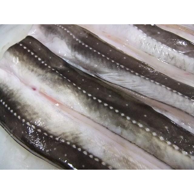 活 〆 サキ穴子 開き １kg 天ぷら用 アナゴ あなご H3331 市場81 通販 Yahoo ショッピング