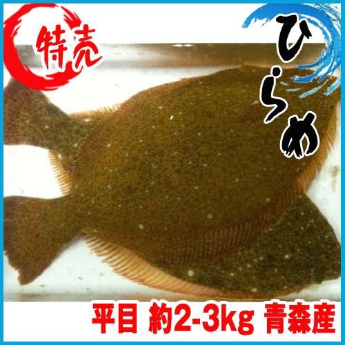 業務用 沖ひらめ 約2 3kg 青森産 ヒラメ 平目 沖ヒラメ Hirame01 市場81 通販 Yahoo ショッピング