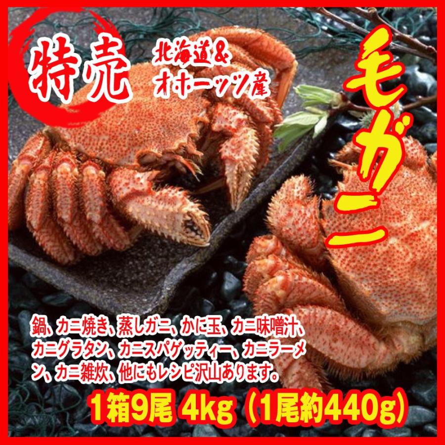 毛ガニ 1箱9尾 4kg 1尾約440g 北海道 オホーッツ産 化粧箱