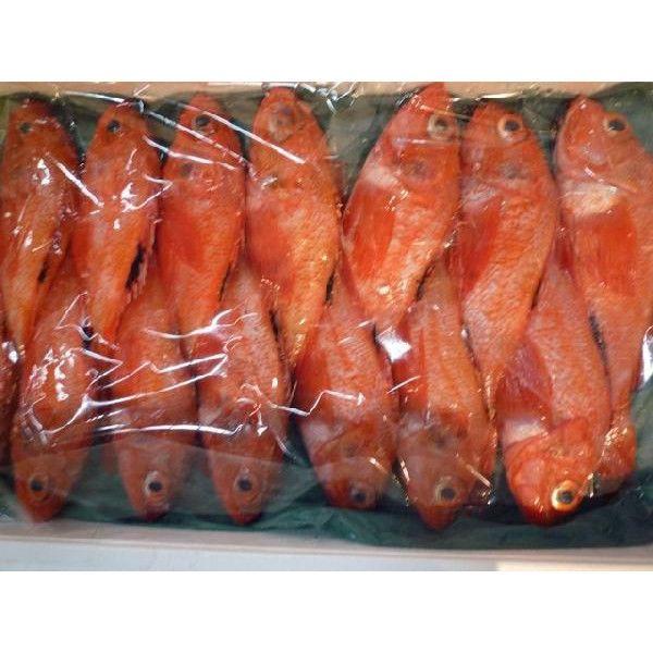 3 4人前 新鮮 キンキ 1kg 2 4尾入り 北海道産 きんき きちぎ 高級魚 Kinki 市場81 通販 Yahoo ショッピング