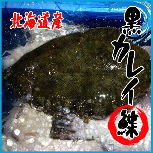 北海道産 黒カレイ 約2 5kg以上 3 6尾前後入 かれい 鰈 Kurokarei02 市場81 通販 Yahoo ショッピング