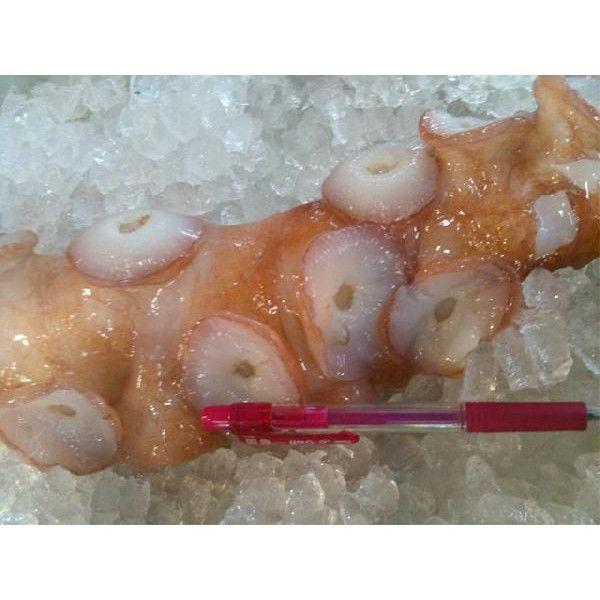 4 5人前 生タコ 北海生たこ 刺身用 約1kg タコ たこ 蛸 鮹 Namatako 1 市場81 通販 Yahoo ショッピング