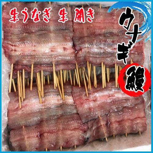生うなぎ 生 開き 約０g前後 特大 １串 築地 Unagi0023 市場81 通販 Yahoo ショッピング