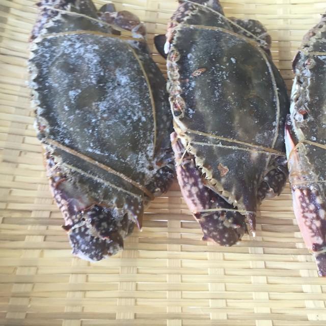 最大94 Offクーポン お歳暮 冷凍ワタリガニ ２尾 1尾 約 渡り蟹 250g前後 カニ 蟹