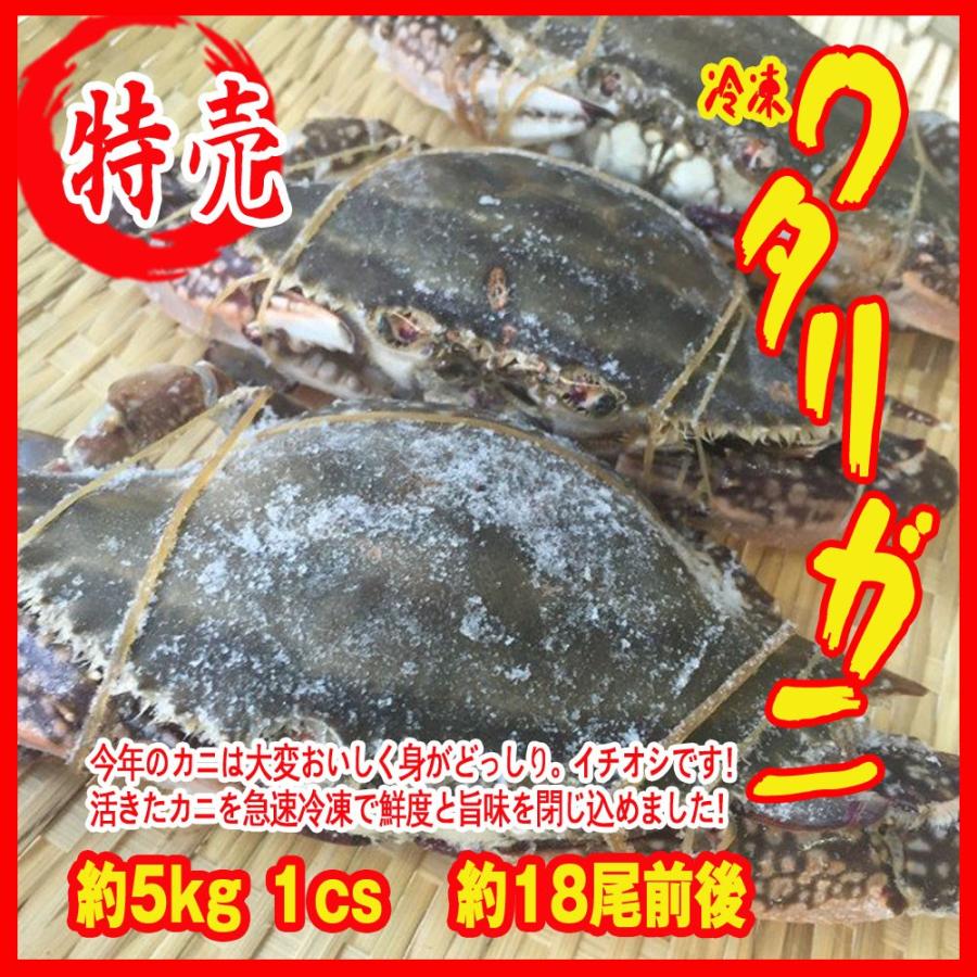 お歳暮) 冷凍ワタリガニ 約5kg   １cs 　約18尾前後 　　 渡り蟹 カニ 蟹