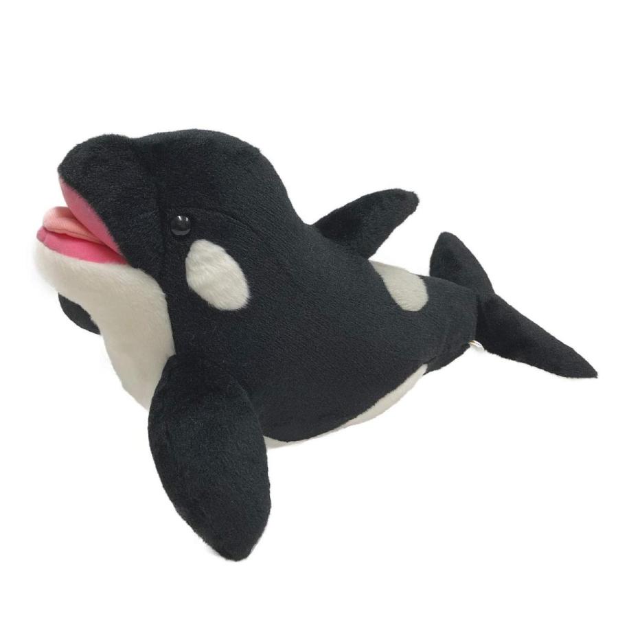 オレンジ シャチ L 大型 キラーホエール オルカ 57cm O Www Clubdeportivojosevalenciano Com