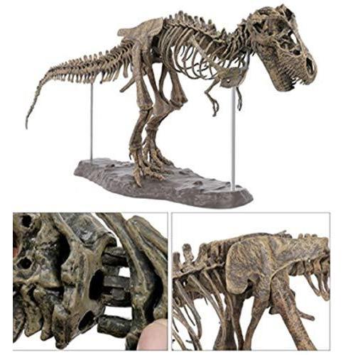 ３Ｄ立体パズル ティラノサウルス・レックス 骨格標本 大迫力・大型 全長70cm（色は、付いておりません・絵の具は、商品に含まれません。）｜i-labo｜02