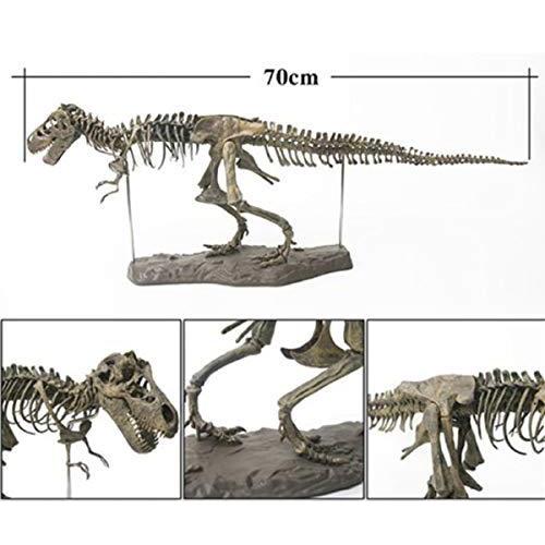 ３Ｄ立体パズル ティラノサウルス・レックス 骨格標本 大迫力・大型 全長70cm（色は、付いておりません・絵の具は、商品に含まれません。）｜i-labo｜06