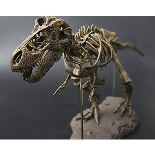 ３Ｄ立体パズル ティラノサウルス・レックス 骨格標本 大迫力・大型 全長70cm（色は、付いておりません・絵の具は、商品に含まれません。）｜i-labo｜08