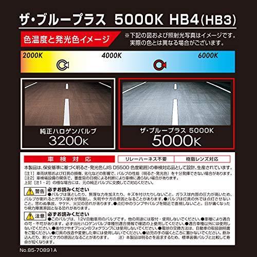 カーメイト 車用 ハロゲン ヘッドライト GIGA ザ・ブループラス HB4/3 5000K 850lm BD629N｜i-labo｜02