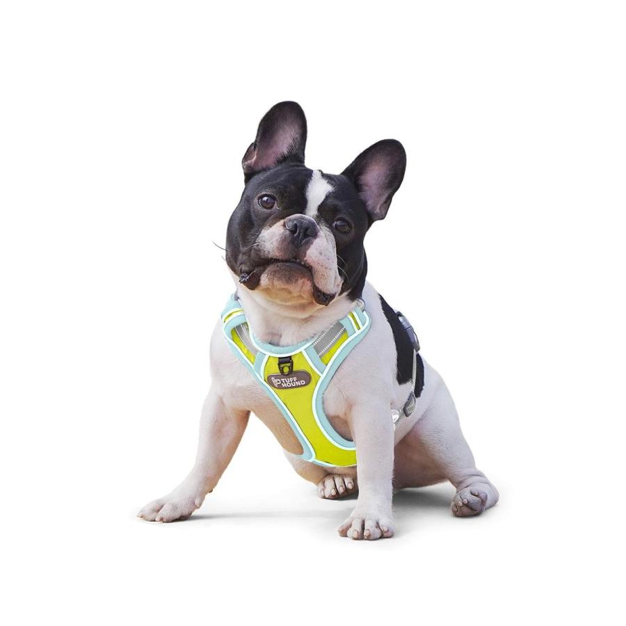 Tuff Houndハーネス 犬 ソフトメッシュ 軽量 小型犬 中型犬 大型犬 胴輪 反射材 調節可能 通気性 胴回り64 75cm 散歩用 L グ Www Smkn2palembang Sch Id