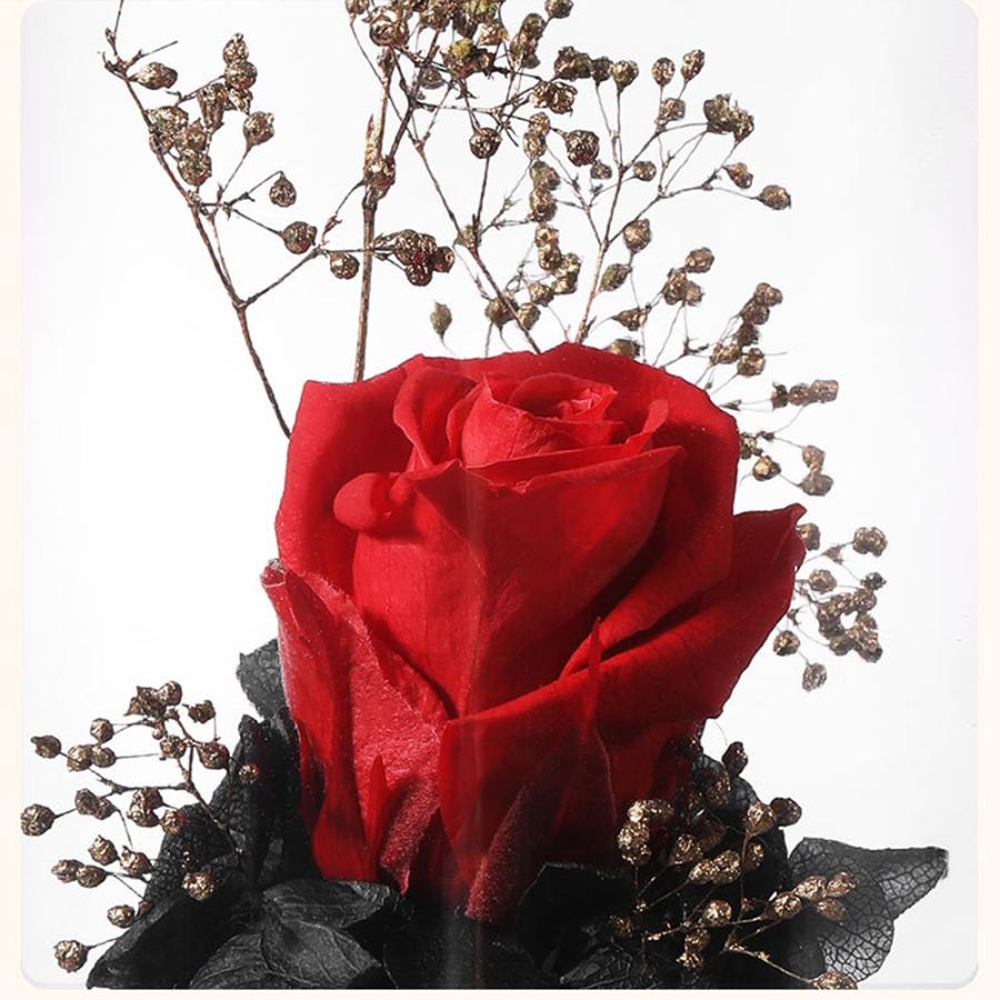 新品 プリザーブドフラワー プレゼント ドームアレンジ バラ 枯れない花 アロマディフューザー 贈り物 お見舞い 母の日 お祝いプレゼント 卒業