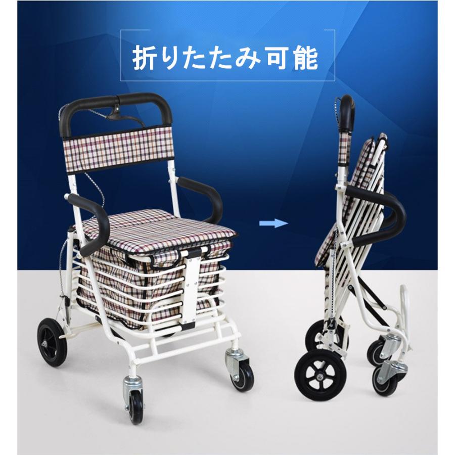 新規購入 母の日 プレゼント シルバーカー ゆったりサイズ お年寄り 買い物カー ショッピングカー 介護 歩行補助具 歩行補助 歩行補助器具 軽量 老人 カゴ付き 手押し車 国産 Cygen Eu