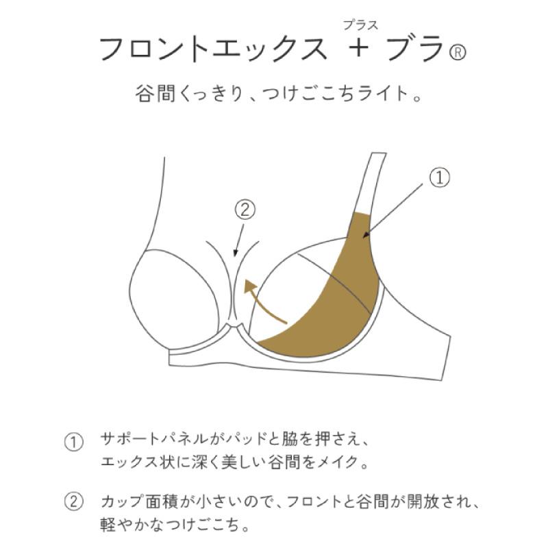 salute サルート 16G　16グループ　RP　セット　C70　フロント btj716_c.jpg
