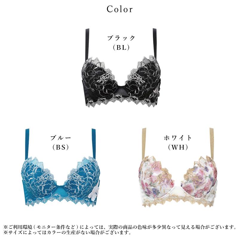 新作サルート 17グループ　未使用品 ワコール サルート 17グループ 17G リアルアップブラ ブラジャー