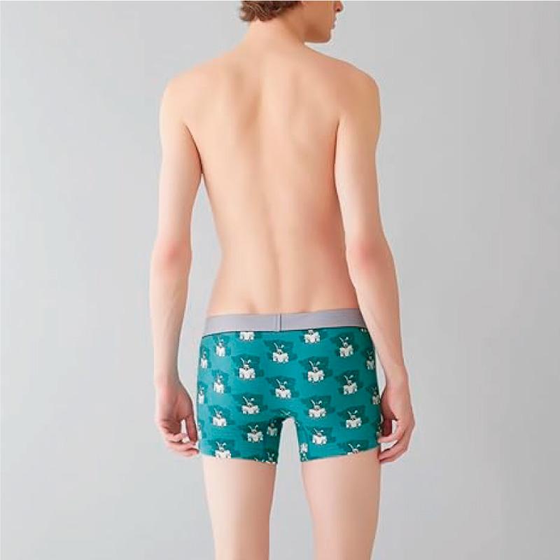 GUNZE グンゼ ボディワイルド ボクサーパンツ BWG178A BODY WILD GUNZE グンゼ ボディワイルド ボクサーパンツ BWG178A BODY WILD