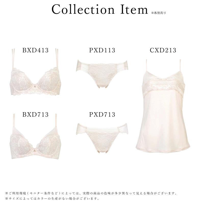 WACOAL ワコール BXD713 Wacoal プレミアム 13グループ 13G きれいなV