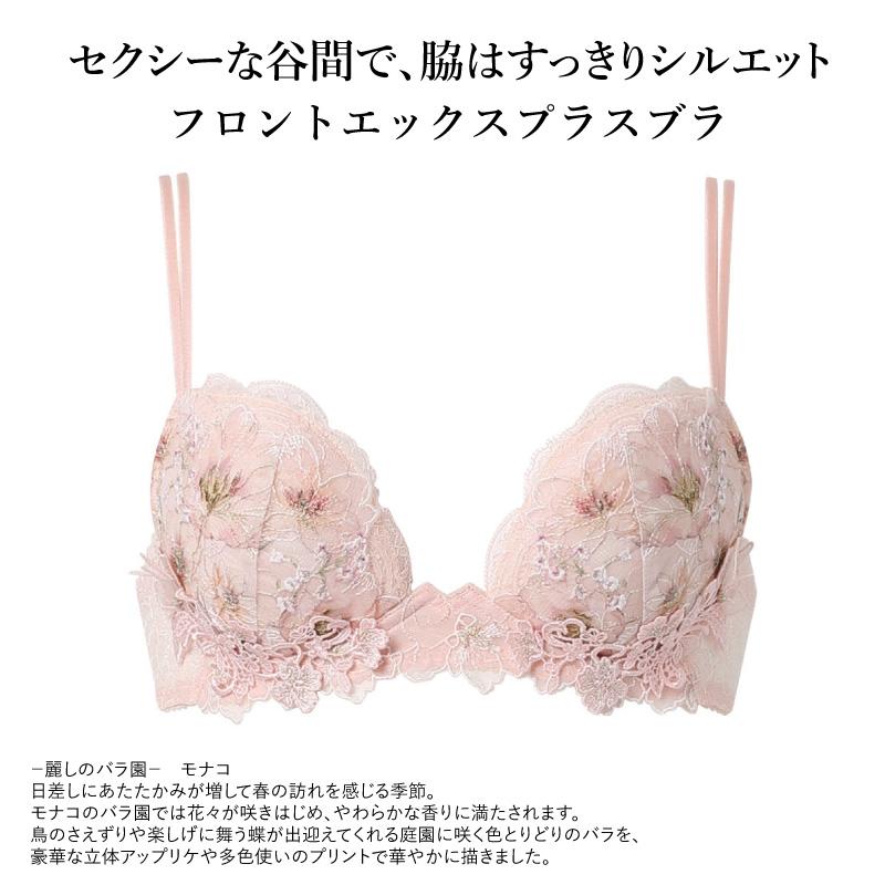 WACOAL ワコール プレミアム ブラジャー BXD717 Wacoal premium 17