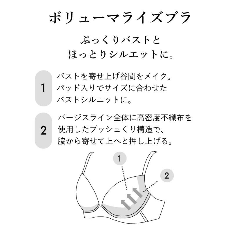 WACOAL（ワコール） プレミアム BXD718 Wacoal WACOAL premium