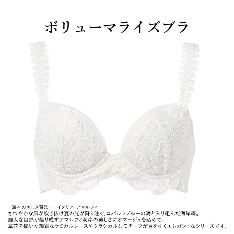 WACOAL（ワコール） プレミアム BXD718 Wacoal WACOAL premium
